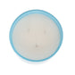 Pier 1 Aspen Flower 14oz Filled 3-Wick Candle